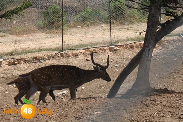 re7la mo2asaasa 0521 (31).JPG